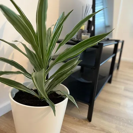 公寓 Stadtwohnung In Siegen-zentrum 锡根