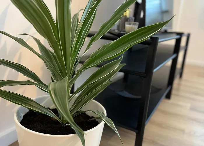 公寓 Stadtwohnung In Siegen-zentrum 锡根